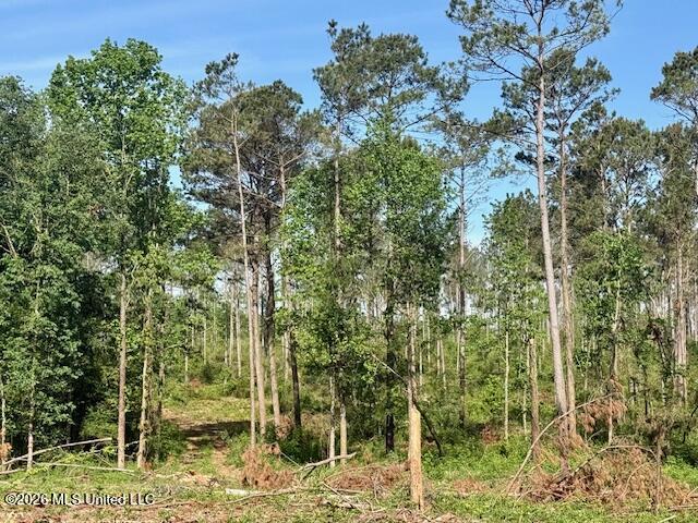 Rutland Road Jayess, MS 39641 - Photo 62 of 76 IMG_8299