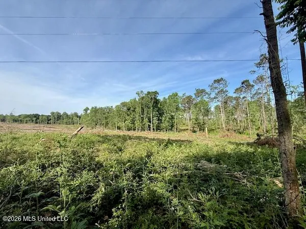 $888,750 | Rutland Road, Jayess, MS 39641