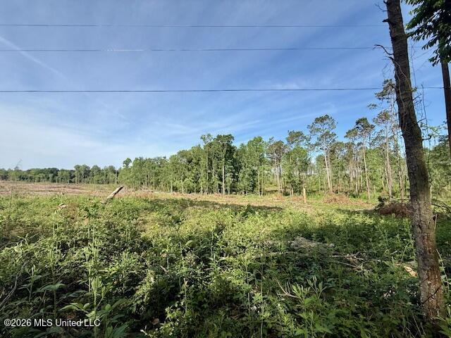 Rutland Road Jayess, MS 39641 - Photo 63 of 76 IMG_8300