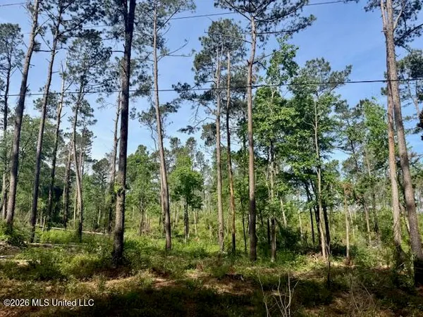 $888,750 | Rutland Road, Jayess, MS 39641