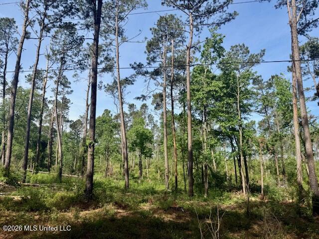 Rutland Road Jayess, MS 39641 - Photo 64 of 76 IMG_8301