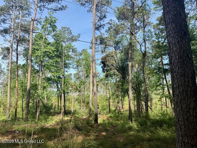 Rutland Road Jayess, MS 39641 - Photo 65 of 76 IMG_8302