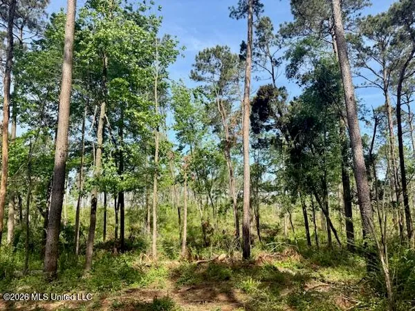 $888,750 | Rutland Road, Jayess, MS 39641