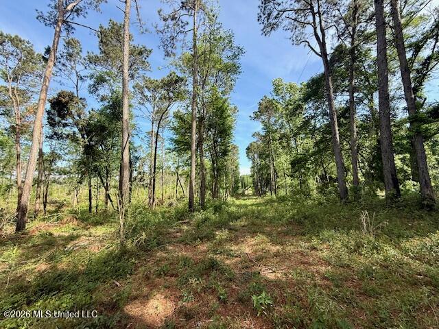 Rutland Road Jayess, MS 39641 - Photo 67 of 76 IMG_8304