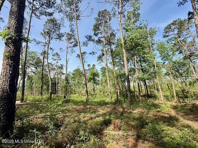 Rutland Road Jayess, MS 39641 - Photo 68 of 76 IMG_8305