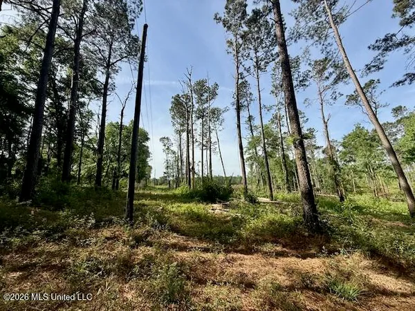 $888,750 | Rutland Road, Jayess, MS 39641