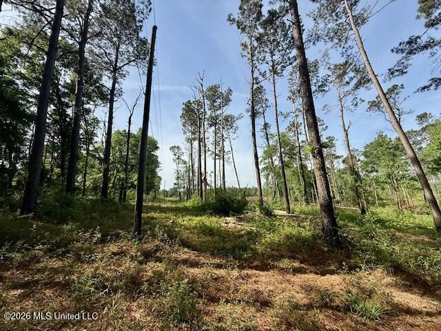 Rutland Road Jayess, MS 39641 - Photo 69 of 76 IMG_8306