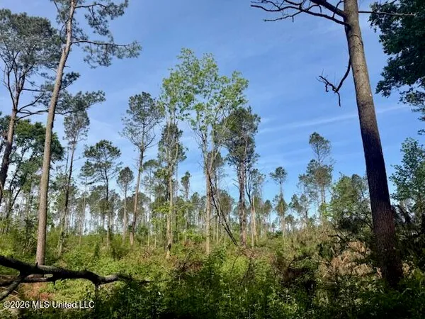 $888,750 | Rutland Road, Jayess, MS 39641
