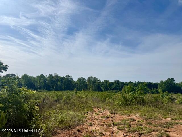 Rutland Road Jayess, MS 39641 - Photo 7 of 76 IMG_8270