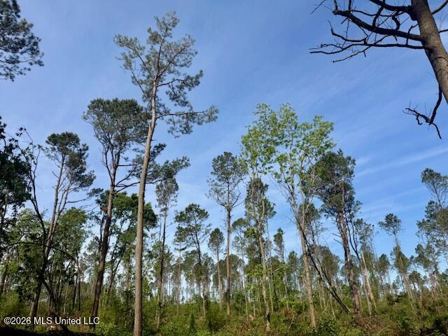 Rutland Road Jayess, MS 39641 - Photo 71 of 76 IMG_8308