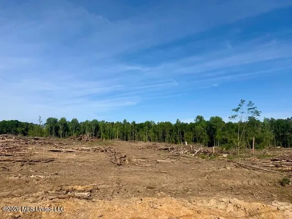$888,750 | Rutland Road, Jayess, MS 39641