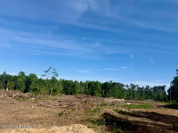 $888,750 | Rutland Road, Jayess, MS 39641