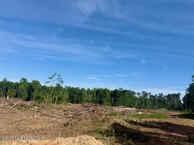 Rutland Road Jayess, MS 39641 - Photo 73 of 76 IMG_8292