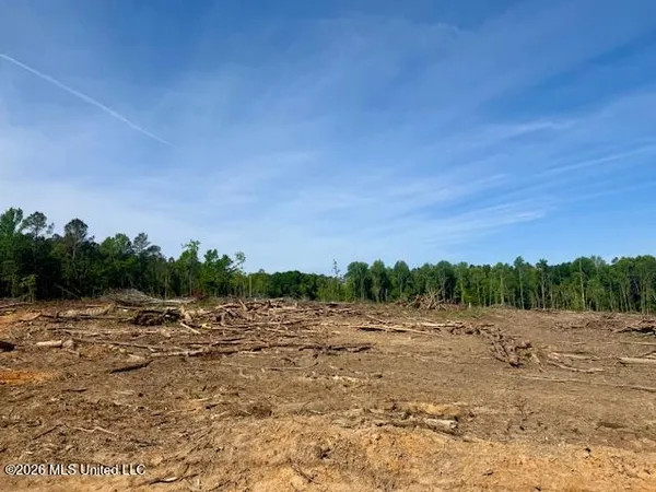 $888,750 | Rutland Road, Jayess, MS 39641