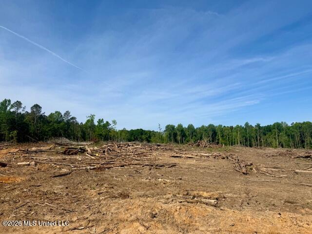 Rutland Road Jayess, MS 39641 - Photo 74 of 76 IMG_8293