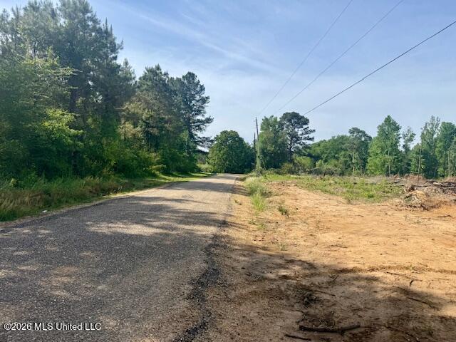 Rutland Road Jayess, MS 39641 - Photo 76 of 76 IMG_8295