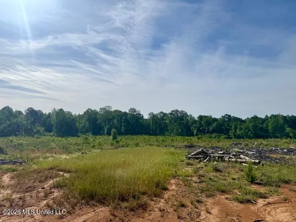 $888,750 | Rutland Road, Jayess, MS 39641