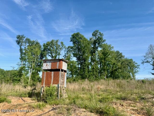 Rutland Road Jayess, MS 39641 - Photo 9 of 76 IMG_8272