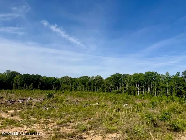 $888,750 | Rutland Road, Jayess, MS 39641