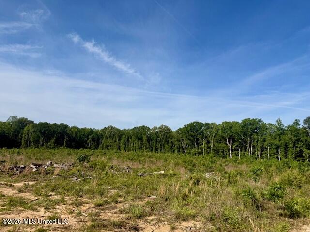 Rutland Road Jayess, MS 39641 - Photo 10 of 76 IMG_8273
