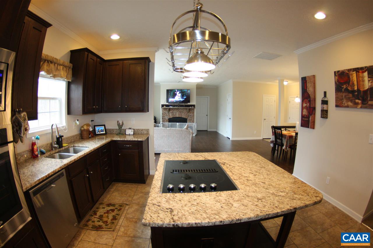 787 Cartersville Road Mineral, VA 23117 - Photo 4 of 28 Gallery Image 4