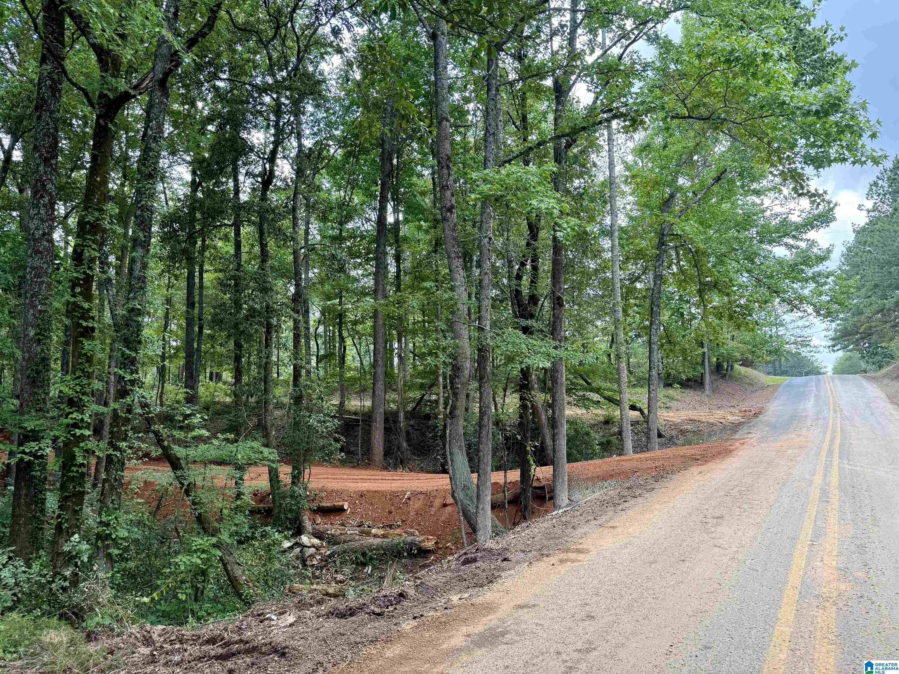 0 Settlement Road Sylacauga, AL 35150 - Photo 9 of 16