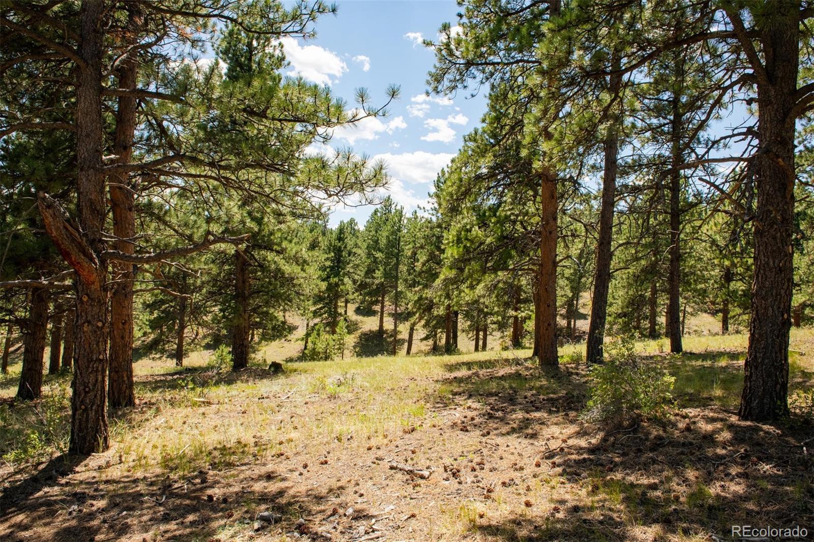 Lot 3 Legacy Ranch Evergreen, CO 80439 - Photo 11 of 17