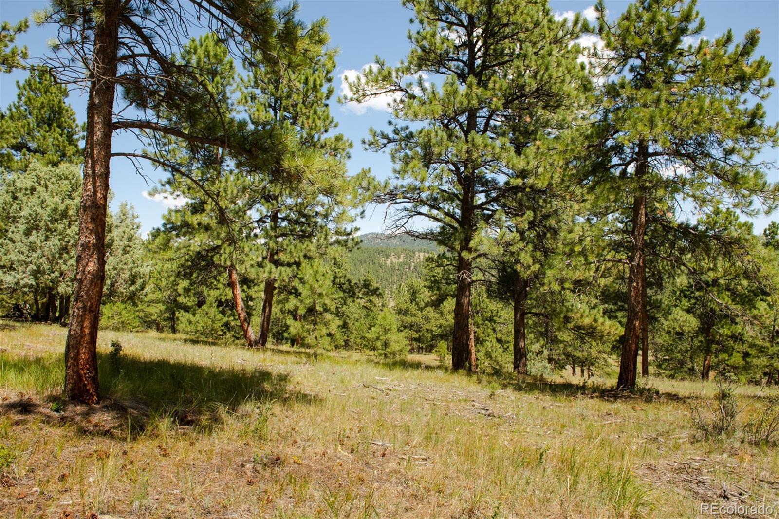 Lot 3 Legacy Ranch Evergreen, CO 80439 - Photo 12 of 17