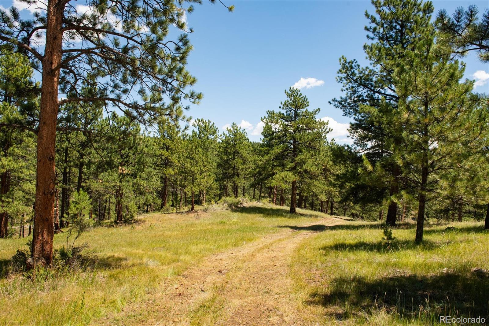 Lot 3 Legacy Ranch Evergreen, CO 80439 - Photo 15 of 17