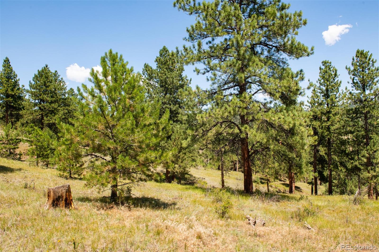 Lot 3 Legacy Ranch Evergreen, CO 80439 - Photo 7 of 17