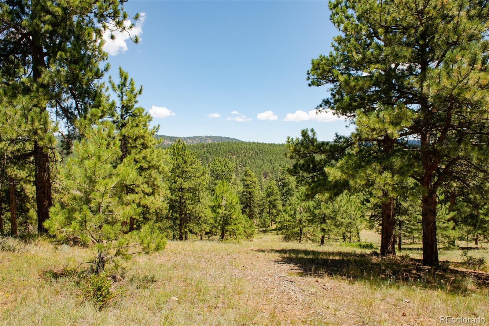 Lot 3 Legacy Ranch Evergreen, CO 80439 - Photo 8 of 17