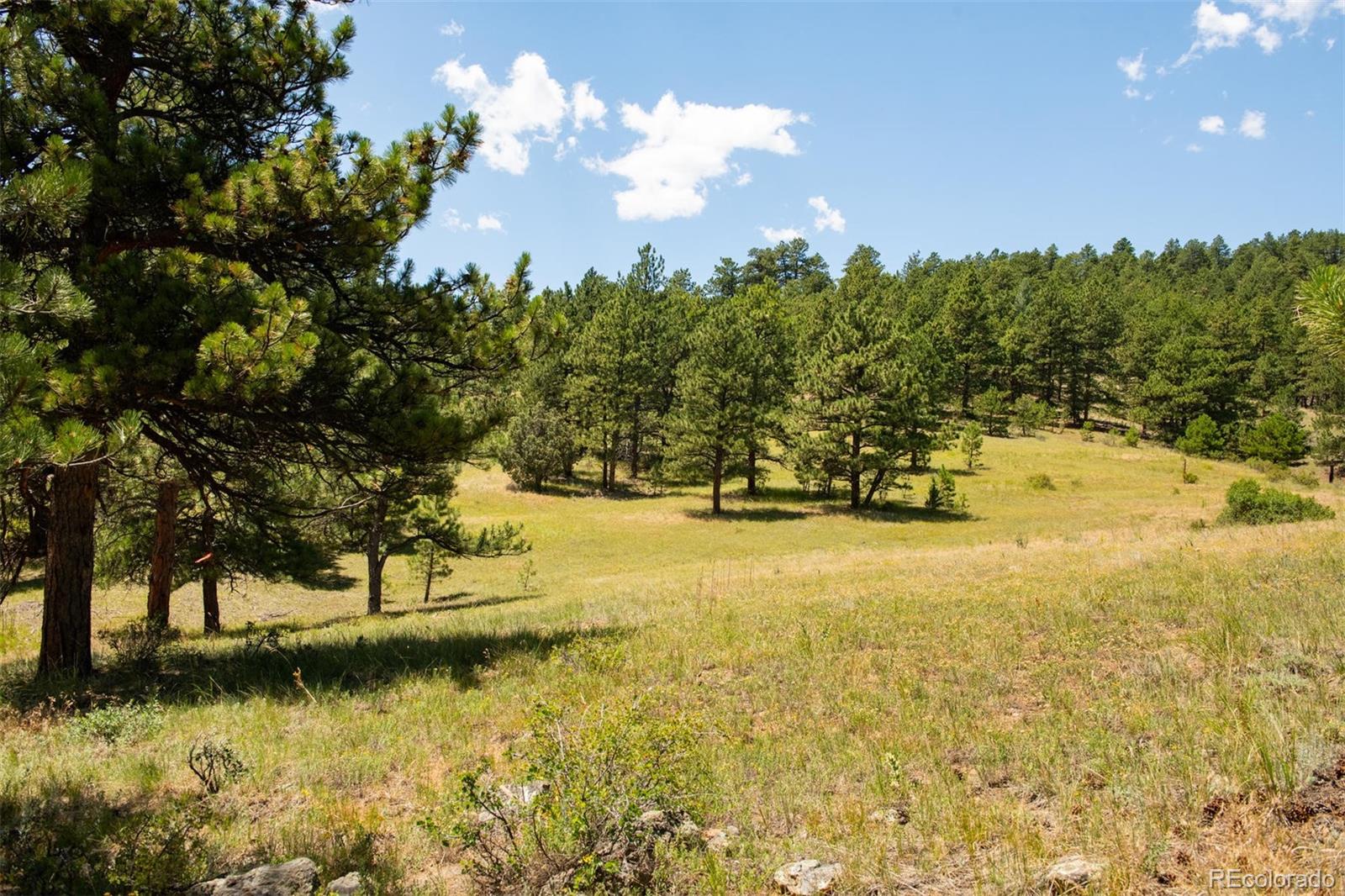 Lot 3 Legacy Ranch Evergreen, CO 80439 - Photo 9 of 17