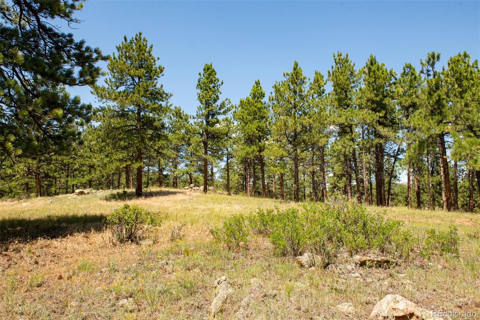 Lot 3 Legacy Ranch Evergreen, CO 80439 - Photo 10 of 17