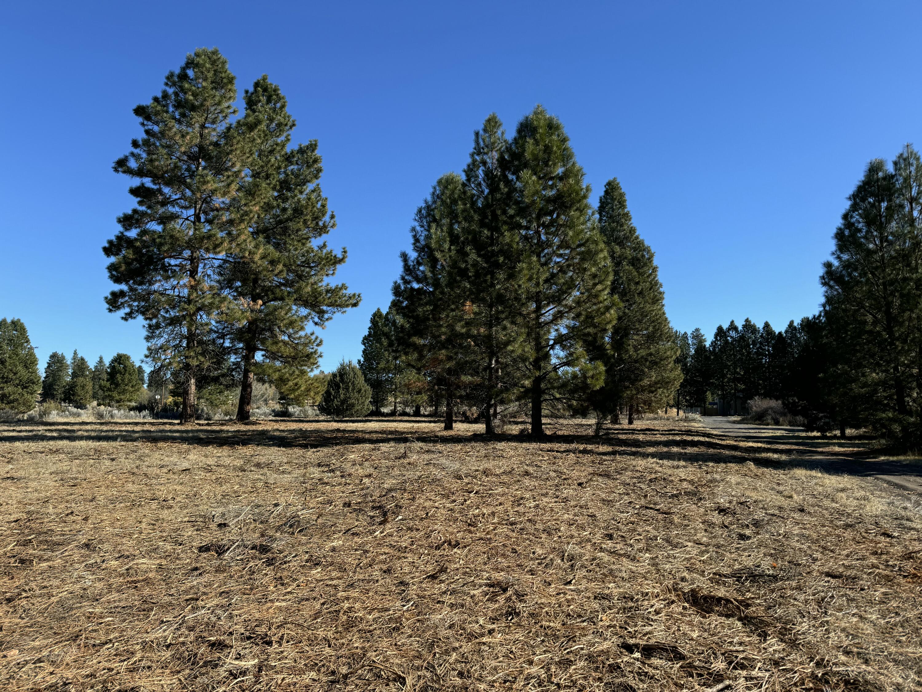 35840 Modoc Point Road, Unit 16 Chiloquin, OR 97624 - Photo 6 of 20 just mowed