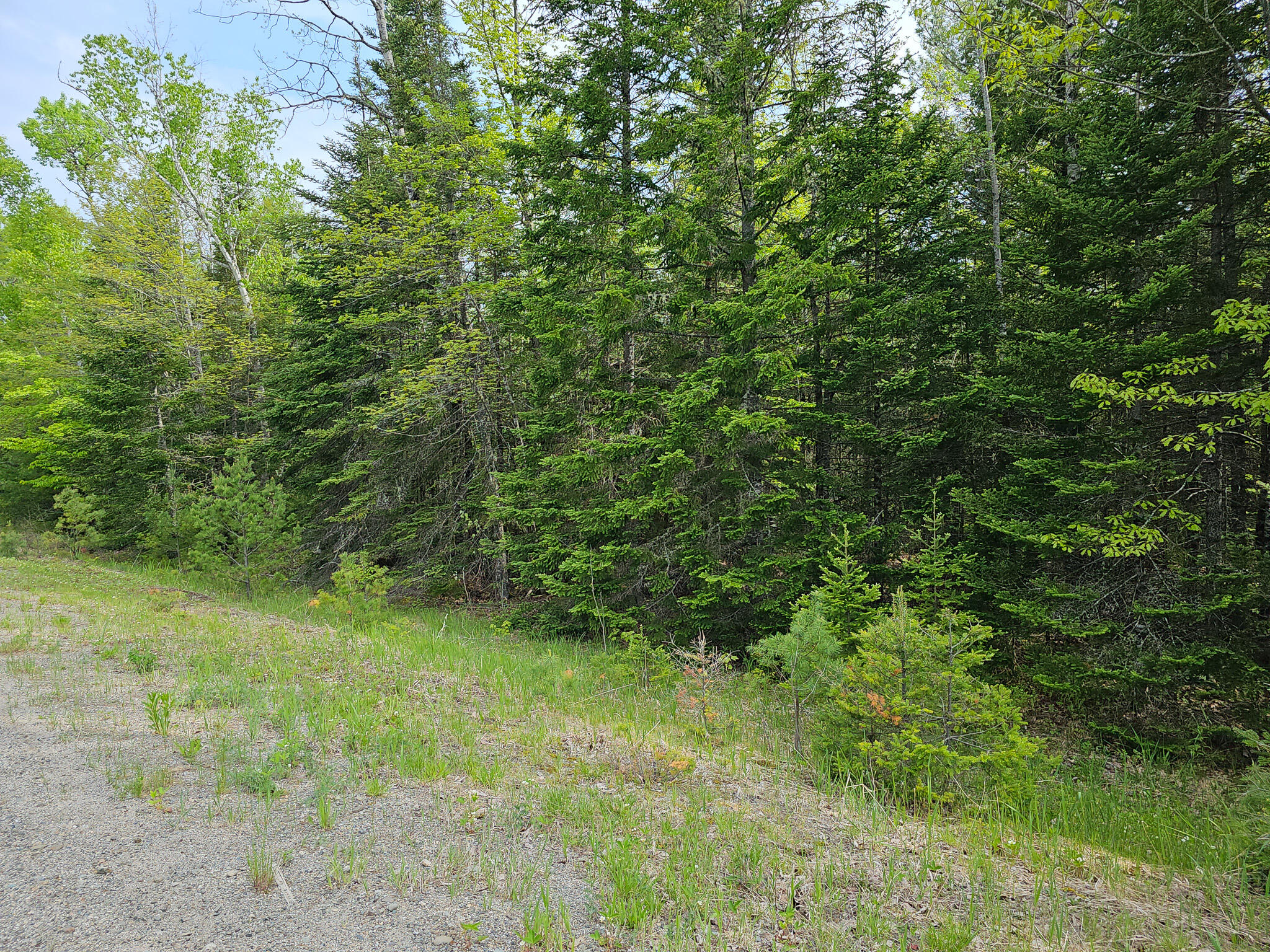 Tbd Maxfield Road Lagrange, ME 04453 - Photo 8 of 10 20240522_094337