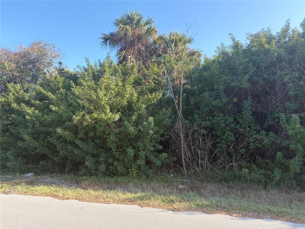 14499 Ransom Avenue Port Charlotte, FL 33953 - Photo 2 of 3