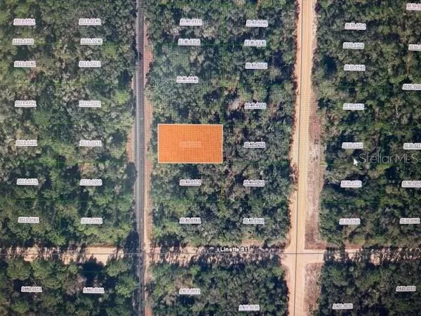 $5,300 | X Theresa Avenue, Interlachen, FL 32148