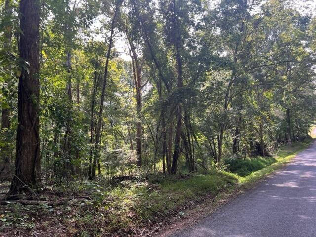 0 Groover Road Spring City, TN 37381 - Photo 2 of 6
