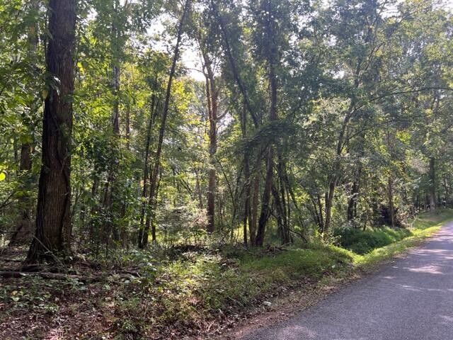 0 Groover Road Spring City, TN 37381 - Photo 3 of 6