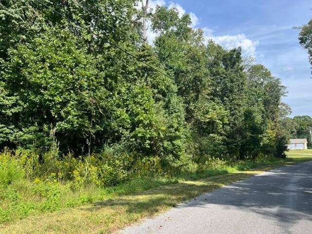 0 Groover Road Spring City, TN 37381 - Photo 5 of 6