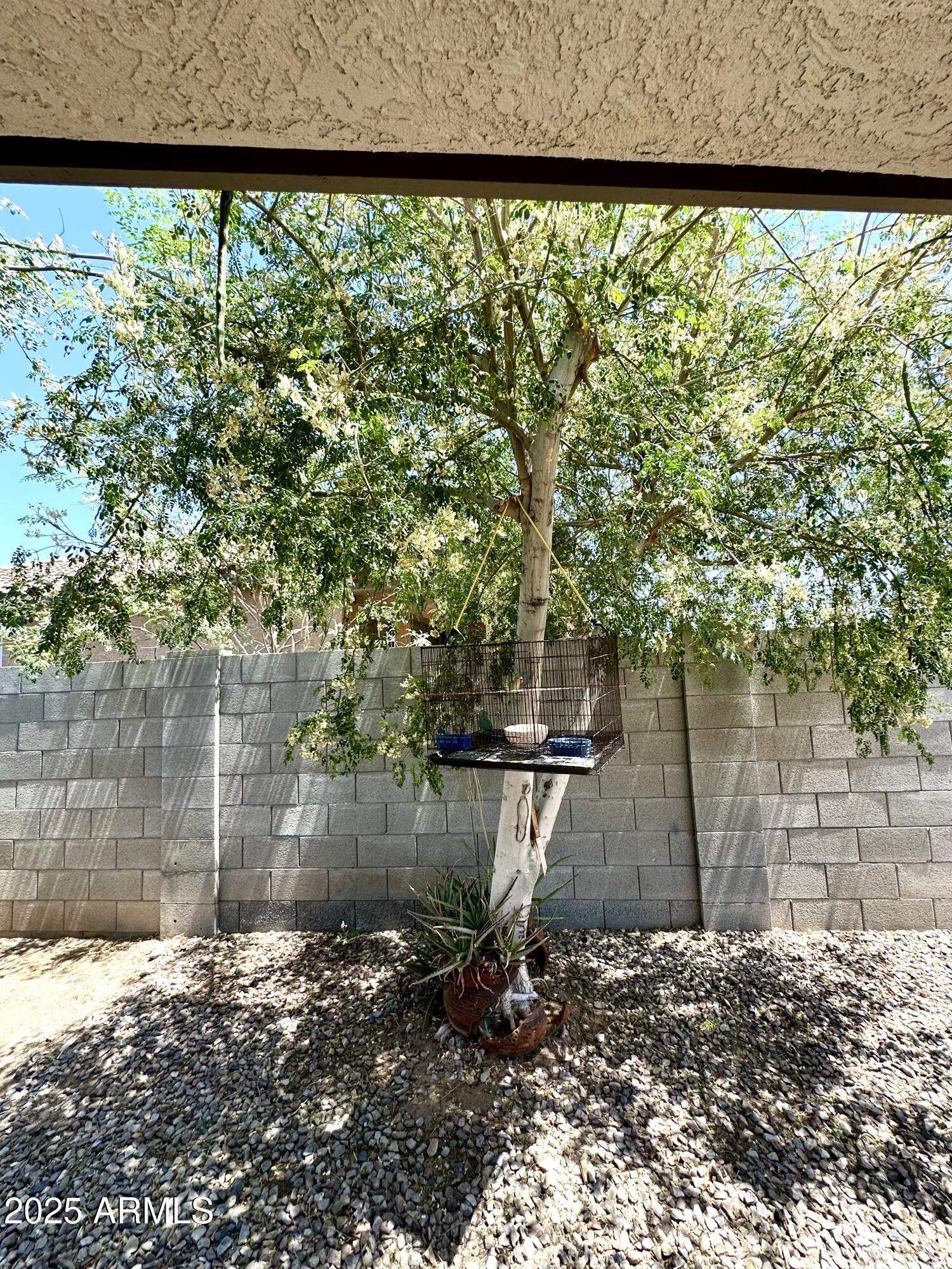 7551 West Darrel Road Laveen, AZ 85339 - Photo 12 of 75 IMG_7765