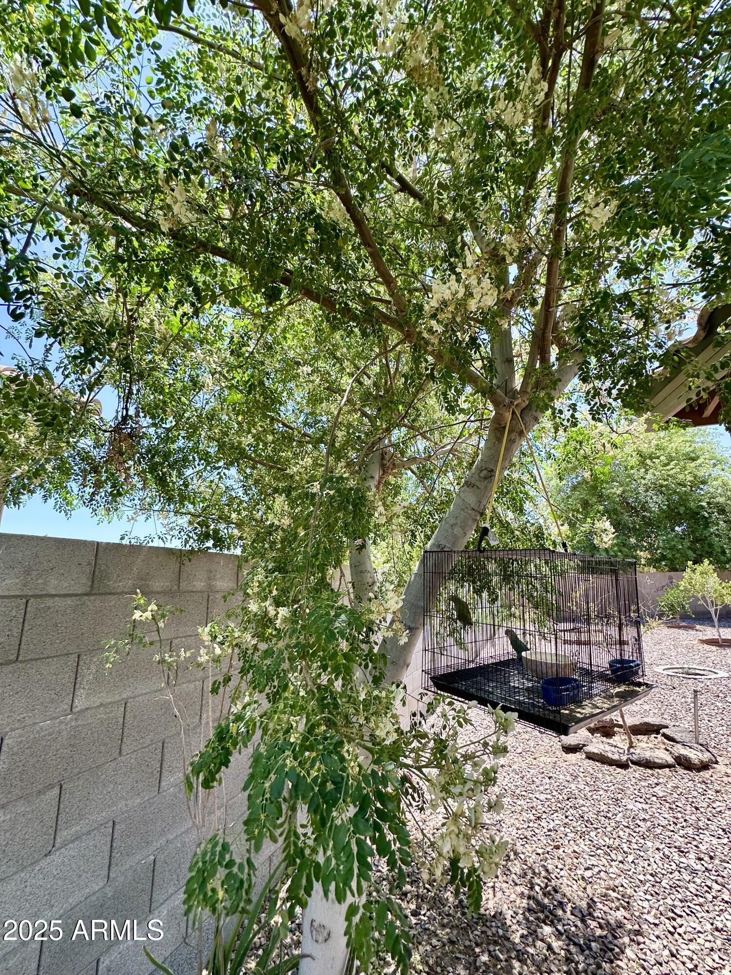 7551 West Darrel Road Laveen, AZ 85339 - Photo 24 of 75 IMG_7748
