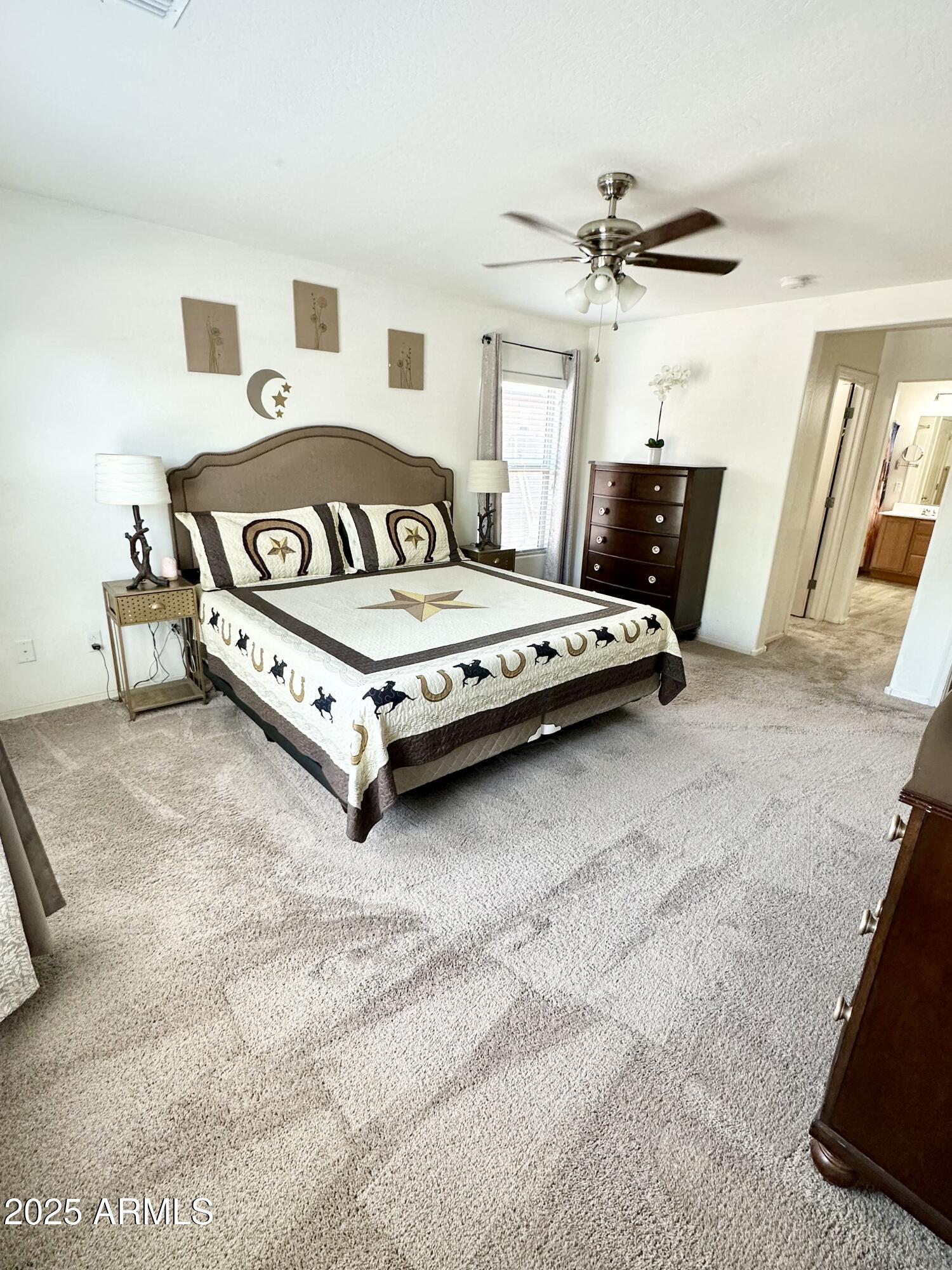 7551 West Darrel Road Laveen, AZ 85339 - Photo 41 of 75 IMG_7717