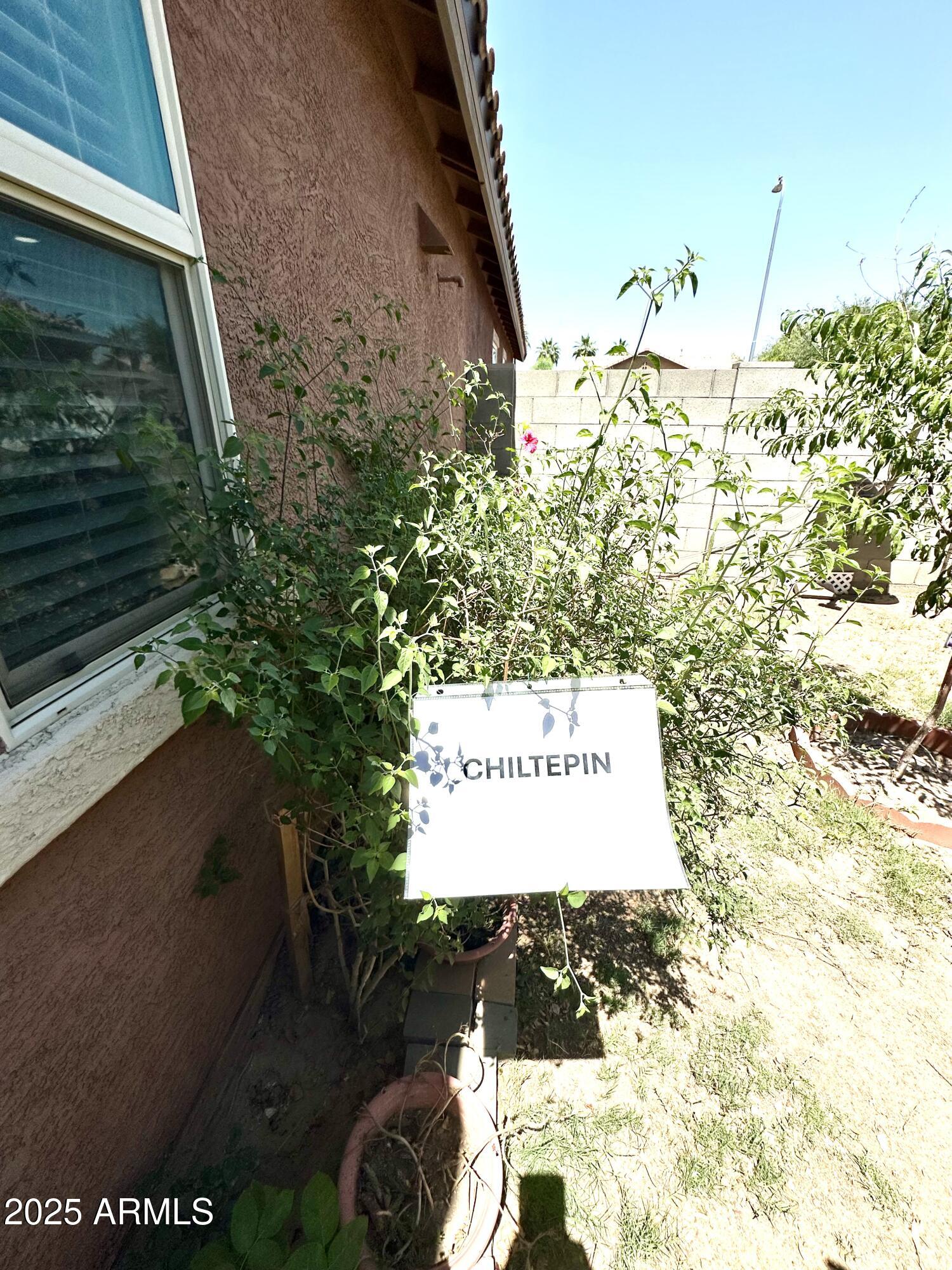 7551 West Darrel Road Laveen, AZ 85339 - Photo 10 of 75 IMG_7744
