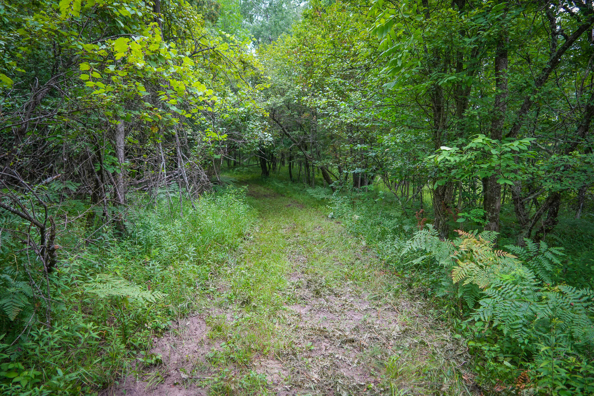 5118 North Raymond Road Tustin, MI 49688 - Photo 39 of 67 DSC01249