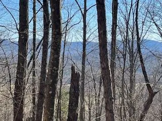 $699,900 | N/a N/a Turkey Ridge, Morganton, GA 30560