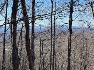 N/a N/a Turkey Ridge Morganton, GA 30560 - Photo 11 of 11