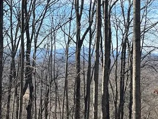 $699,900 | N/a N/a Turkey Ridge, Morganton, GA 30560