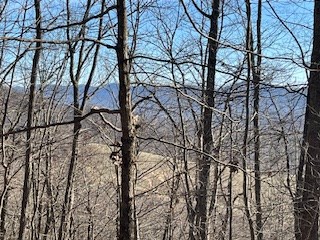 N/a N/a Turkey Ridge Morganton, GA 30560 - Photo 3 of 11