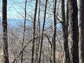 $699,900 | N/a N/a Turkey Ridge, Morganton, GA 30560